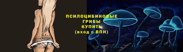 гашик Алзамай